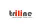 Triline Мониторинг транспорта