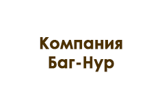 «Компания Баг-Нур ТОО»